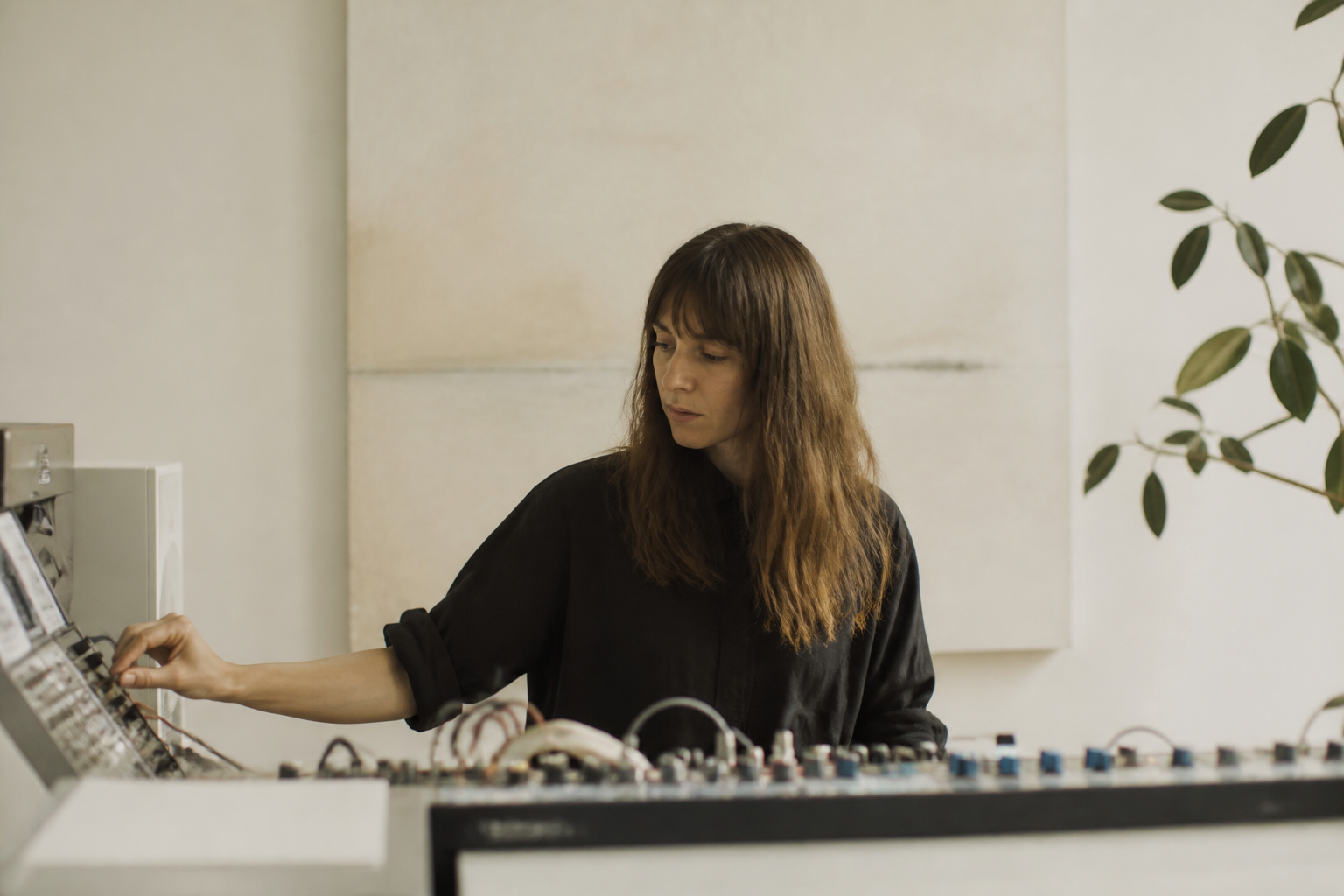 Editorial photograph of a modular synthesizer in soft studio light